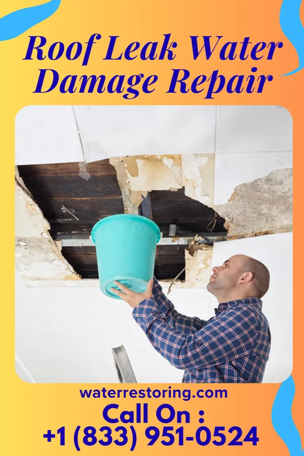 Roof Leak Water Damage Repair in Colo, IA
